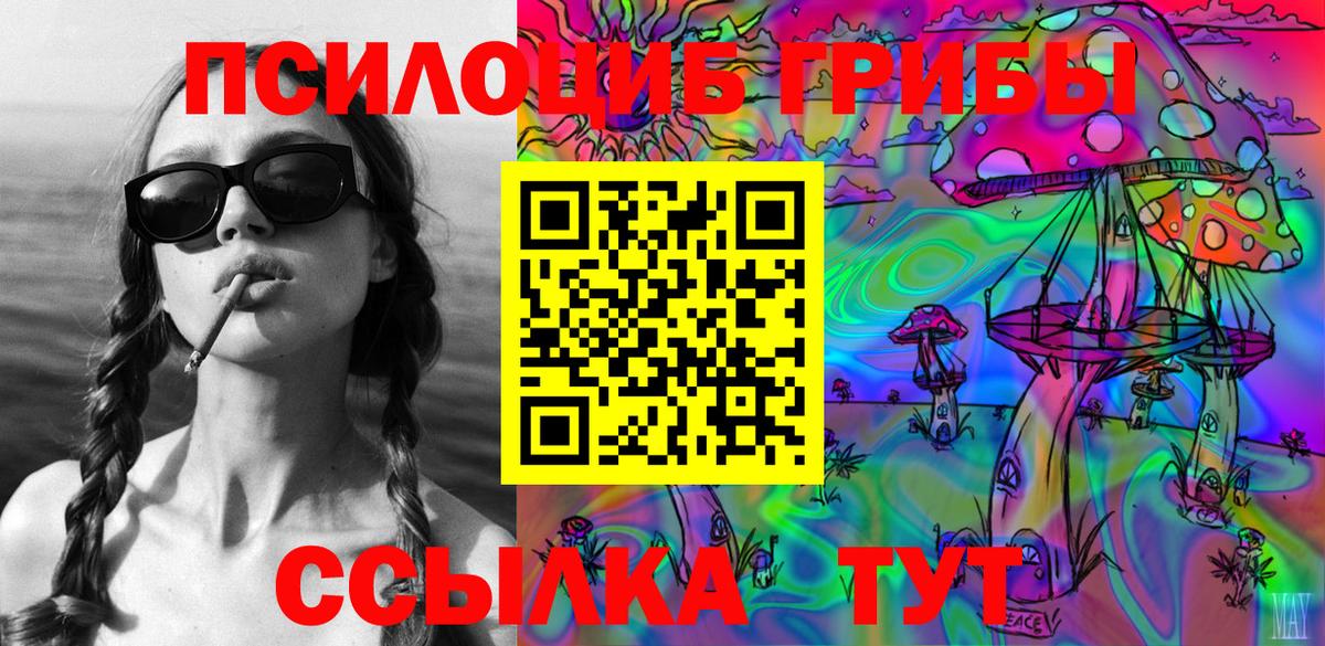 как найти закладки  Галлюциногенные грибы мухоморы  Вход с VPN  Кудрово  Галлюциногенные грибы мицелий 